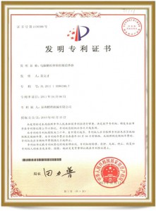 certificado6